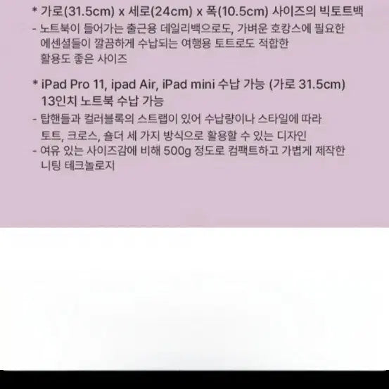 [BUNJANG] Cacharel Strap Tote Bag / 까사렐 스트랩 토트백