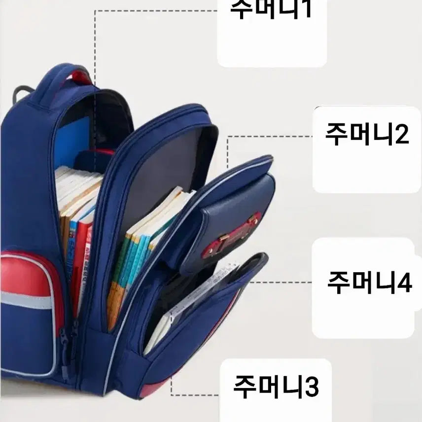 [BUNJANG] Elementary School Waterproof Backpack / 1~3학년 초등학생 척추보호 방수 책가방(새상품)