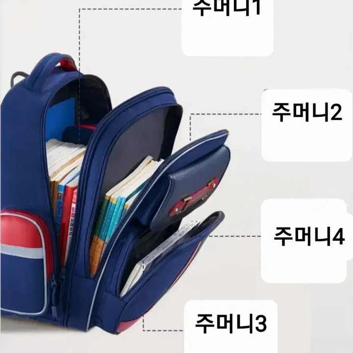 [BUNJANG] Elementary School Waterproof Backpack / 1~3학년 초등학생 척추보호 방수 책가방(새상품)