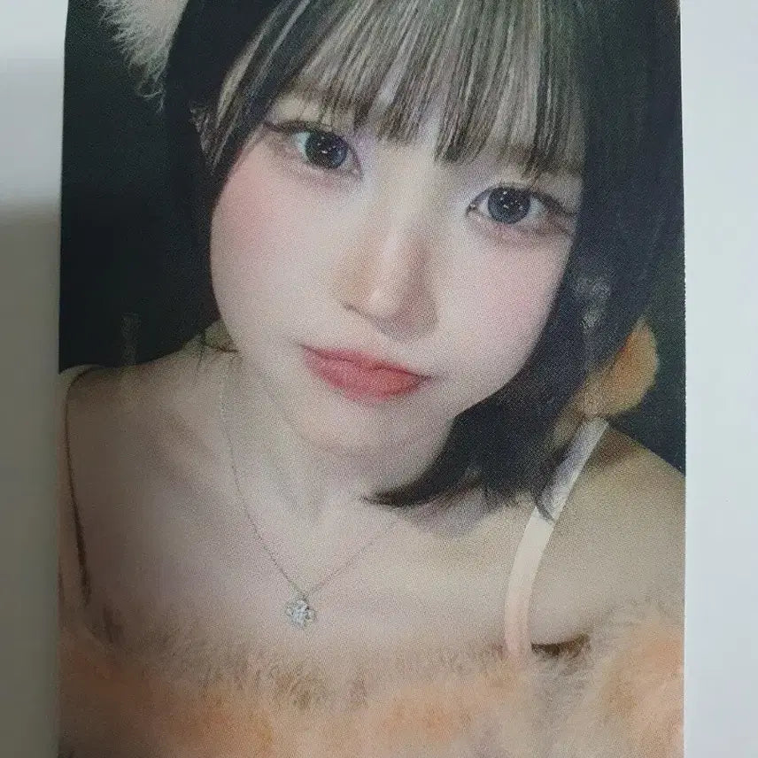 프로미스나인 하얀 그리움 공방포카 세트