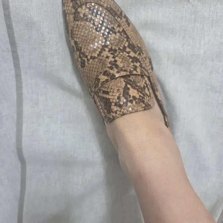[BUNJANG] ZARA Snake Pattern Loafer Flat Shoes / 자라 스네이크 패턴 로퍼 플랫 슈즈