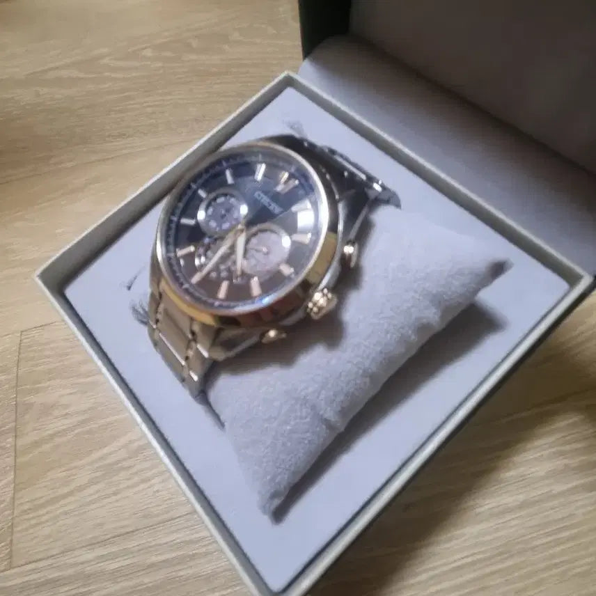 [BUNJANG] Citizen Eco-Drive Titanium Watch / 시티즌 에코드라이브 티타늄