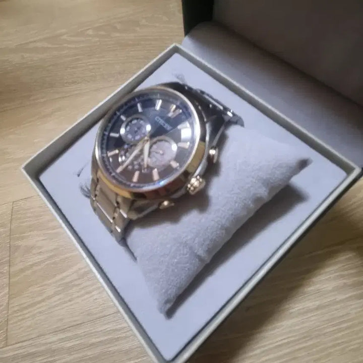 [BUNJANG] Citizen Eco-Drive Titanium Watch / 시티즌 에코드라이브 티타늄