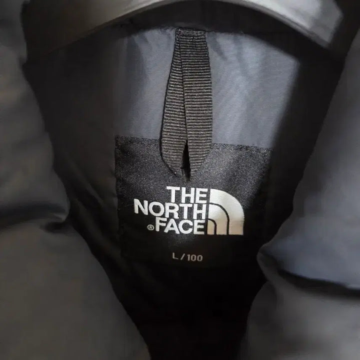[BUNJANG] The North Face Eco Nuptse Leaf Pattern Jacket / 노스페이스 에코눕시  낙엽 L