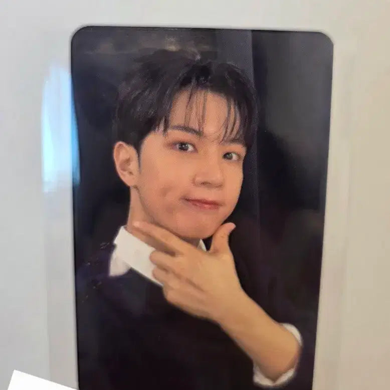 카다판 럽펜씨 엔플라잉 유회승 포카