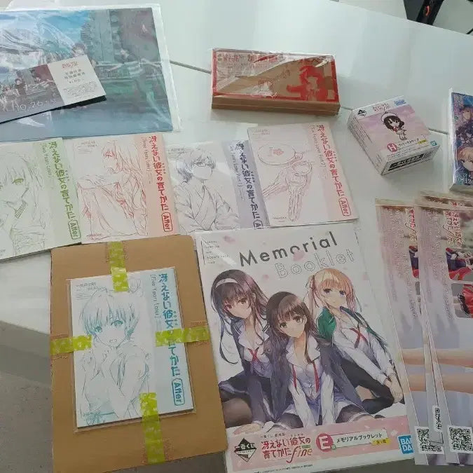 [BUNJANG] Saekano The Movie Novel Collection / (41개 거래후기 판매자)사에카노 극장판 소설 모음