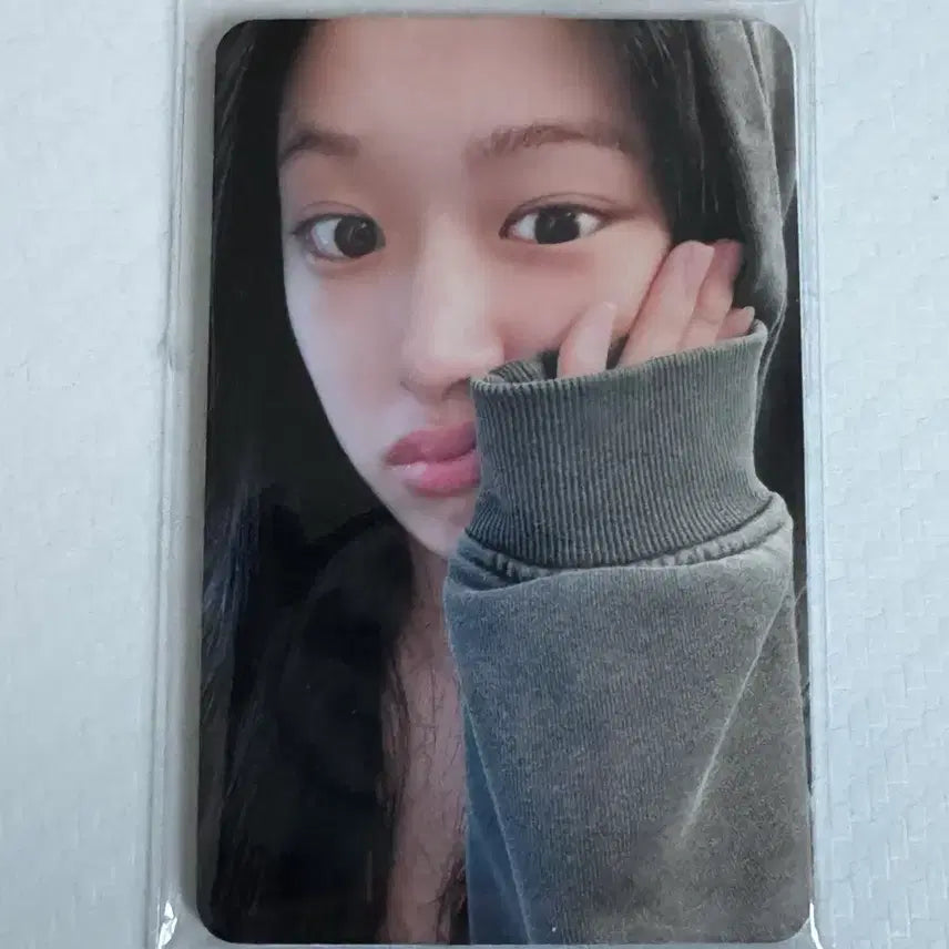 아이브 콘서트 2025 다이브존 포카 세트