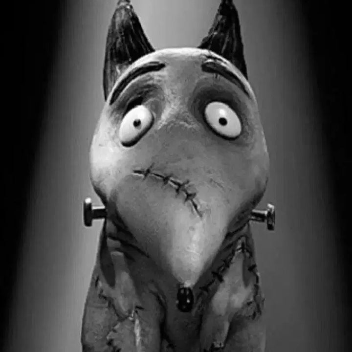[BUNJANG] Frankenweenie Sparky Plush Doll / 팀 버튼 프랑켄위니 스파키 인형 봉제인형