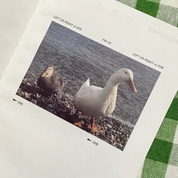 [BUNJANG] Landscape Theme Hardcover Notebook / 감성 풍경 노트 만년 양장 다이어리