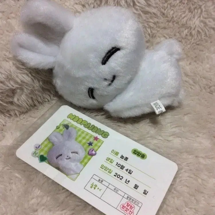 세븐틴 정한 눕쫑이 양도