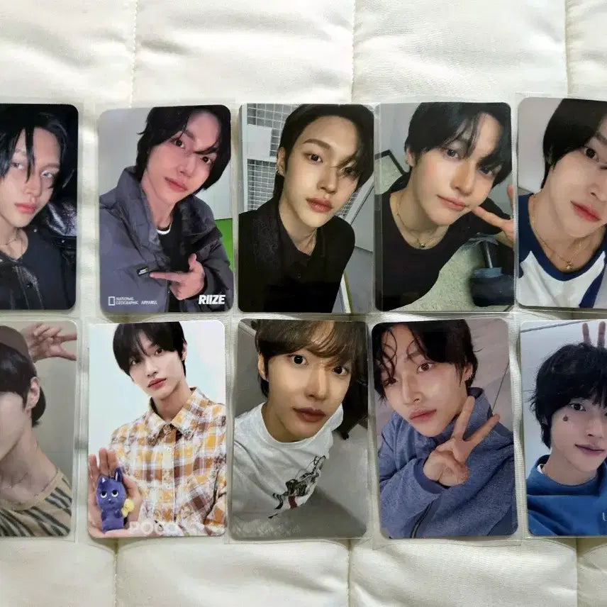 라이즈 원빈 포카 10장 특전