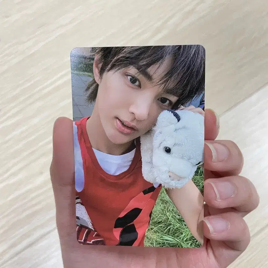 코르티스 안건호 포카