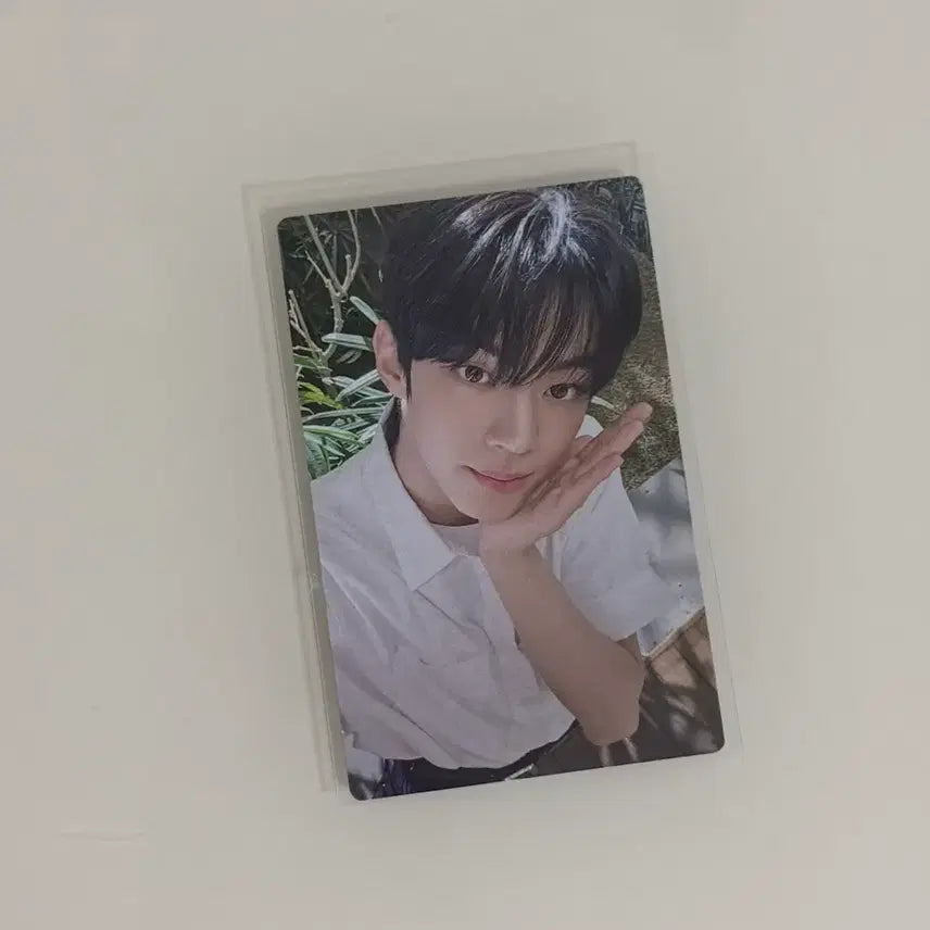 투어스 도훈 포카