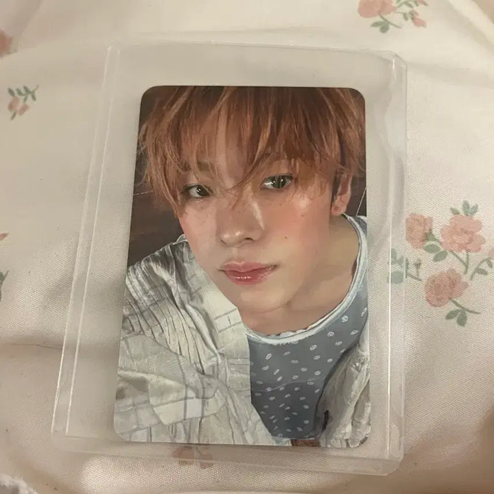 유우시 하타치 포카 위드뮤 무료배송