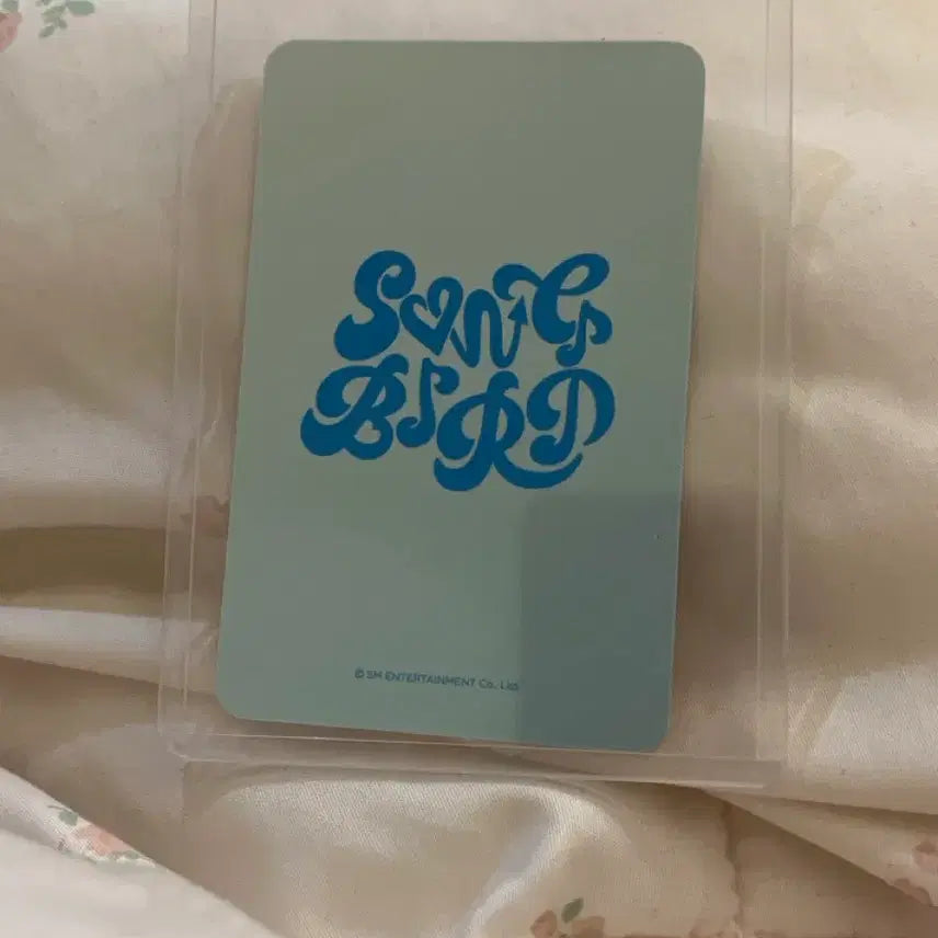 유우시 하타치 포카 위드뮤 무료배송