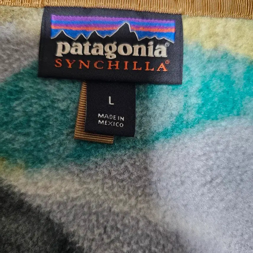 [BUNJANG] Patagonia Synchilla Salmon Pattern Fleece Jacket / 파타고니아 신칠라 연어 L