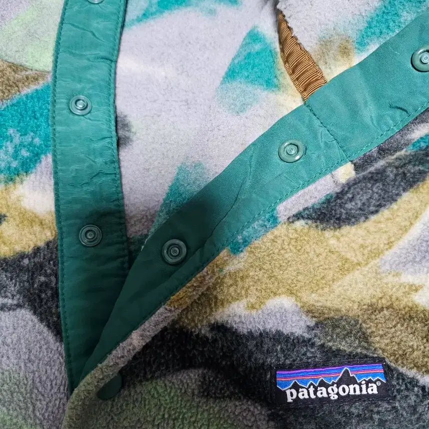 [BUNJANG] Patagonia Synchilla Salmon Pattern Fleece Jacket / 파타고니아 신칠라 연어 L