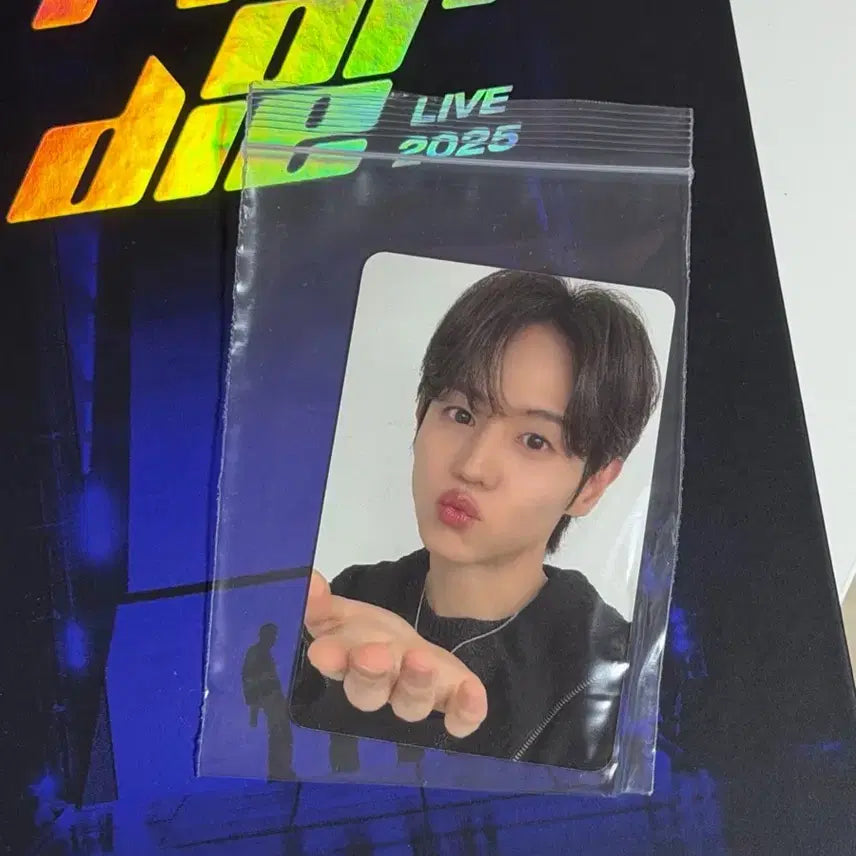 하이라이트 라올다 라이브 앨범 한정반 미공포 포함