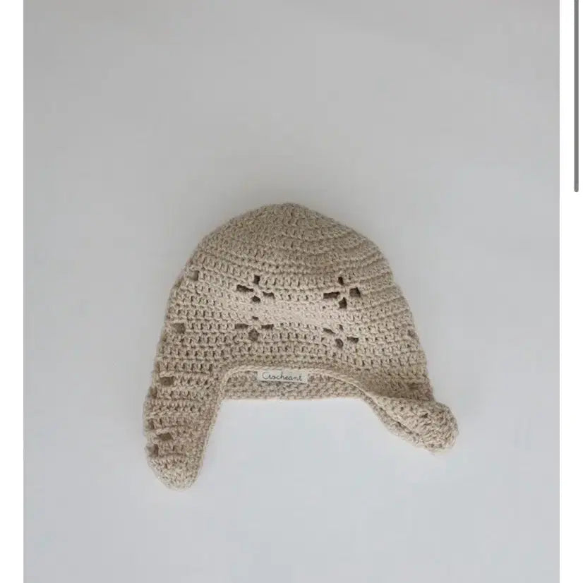 [BUNJANG] Crotchet Ant Beanie / 크로쉐안트 아일렛 비니