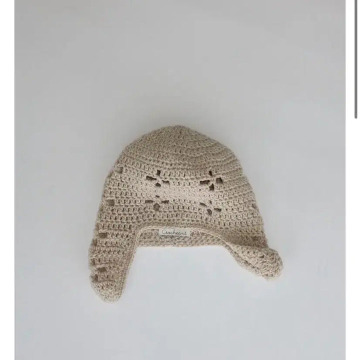 [BUNJANG] Crotchet Ant Beanie / 크로쉐안트 아일렛 비니