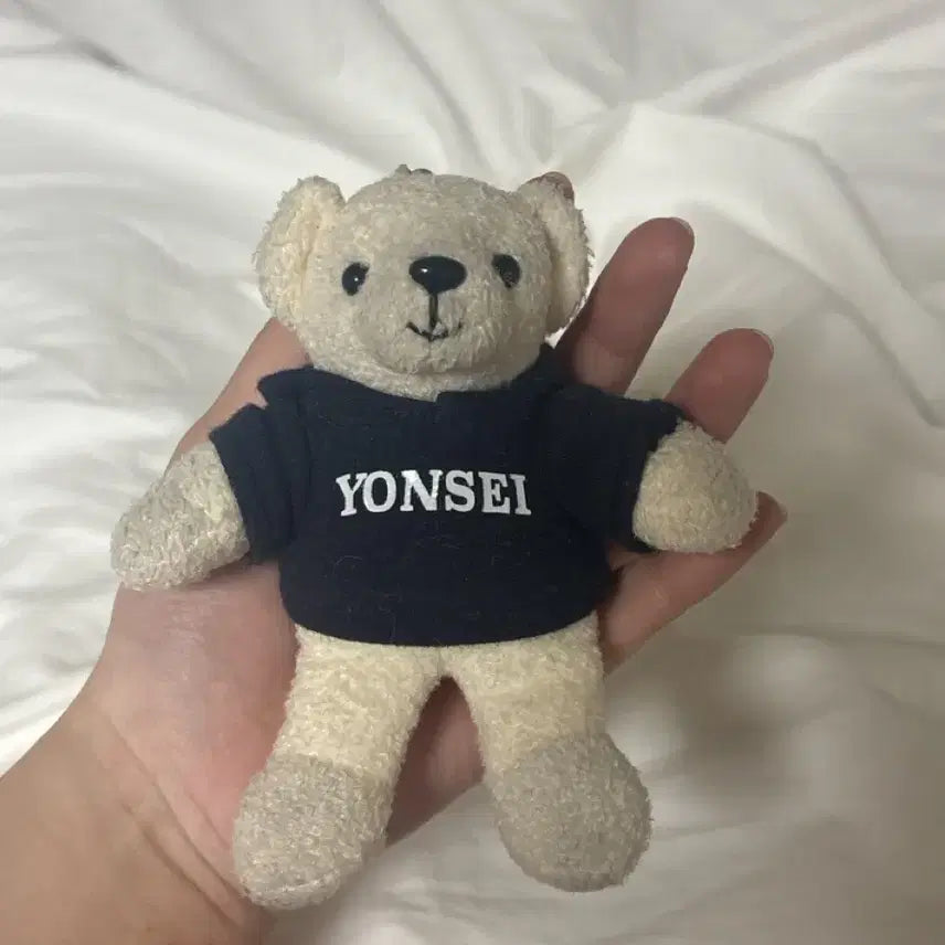 [BUNJANG] Yonsei University Bear Doll Keychain / 연세대 곰인형키링