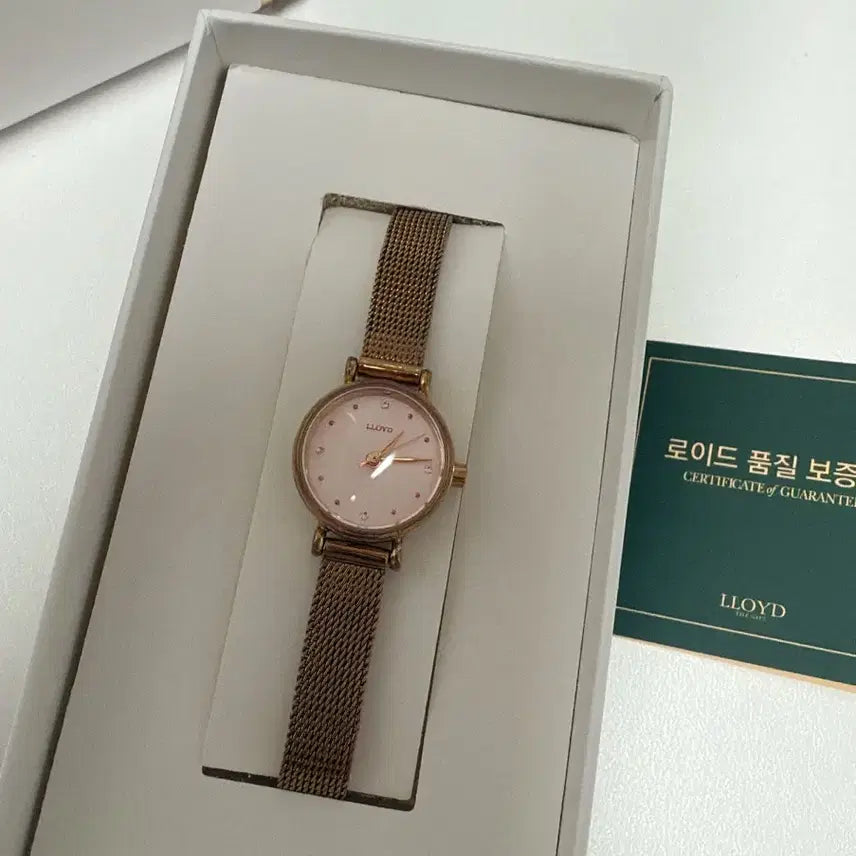[BUNJANG] Lloyd Rose Gold Mesh Watch / 로이드 심플 원형다이얼 로즈골드 메쉬시계