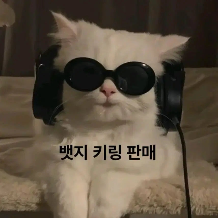 [BUNJANG] Various Keyrings and Badges Bundle Set / 여러 키링, 뱃지