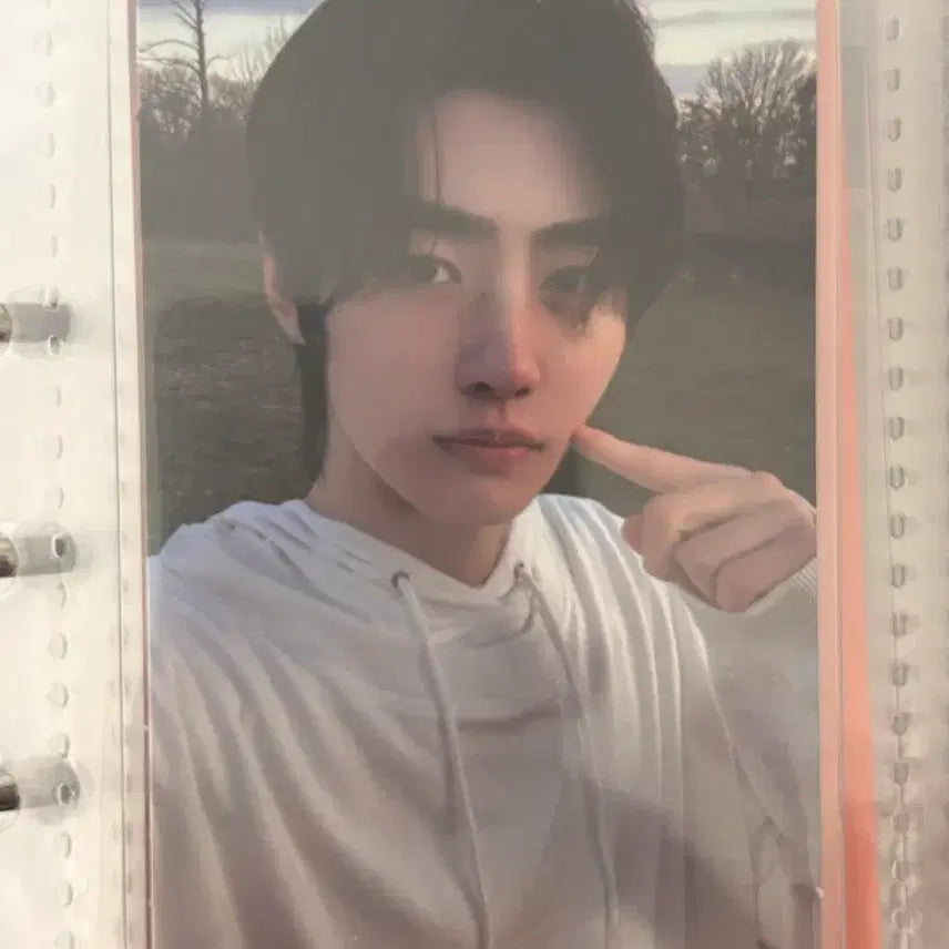 엔하이픈 성훈 다크블러드 포카