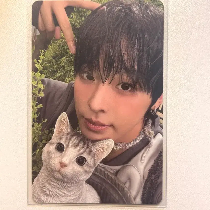 리쿠 Color 포카 판매