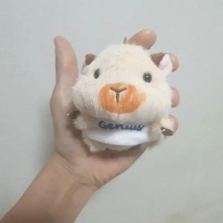 [BUNJANG] Various Keyrings / 여러 키링 판매합니다