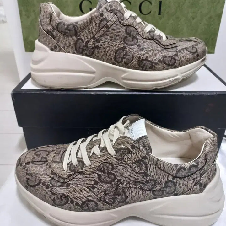 [BUNJANG] Gucci Ebony 100th Anniversary Edition Sneakers / A+9 280 285구찌 라이톤 정가140만원대 에보니 100주년 한정판
