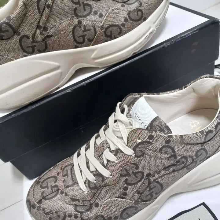 [BUNJANG] Gucci Ebony 100th Anniversary Edition Sneakers / A+9 280 285구찌 라이톤 정가140만원대 에보니 100주년 한정판