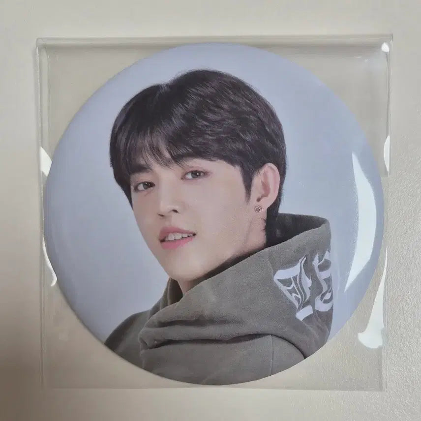 세븐틴 에스쿱스 2020 캐럿랜드 캐랜 핀버튼 핀뱃지 뱃지 양도