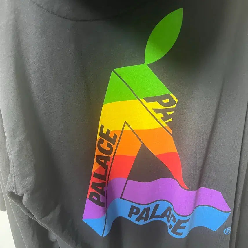 [BUNJANG] Palace Unseen Apple Hoodie / (xl) 19ss 팔라스 언씬 애플후드