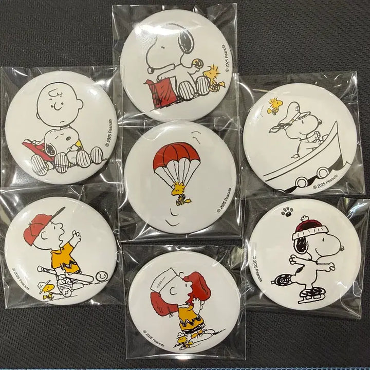 [BUNJANG] Snoopy Badge Bundle Set / 스누피 캔뱃지