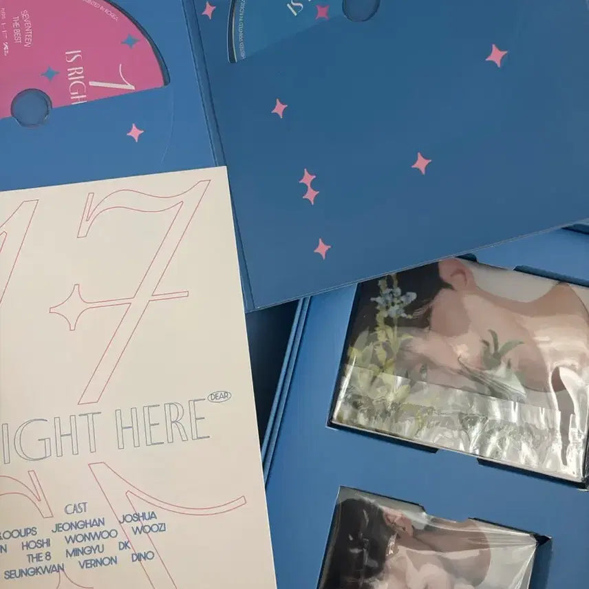 세븐틴 디어버전 캐럿반 도겸