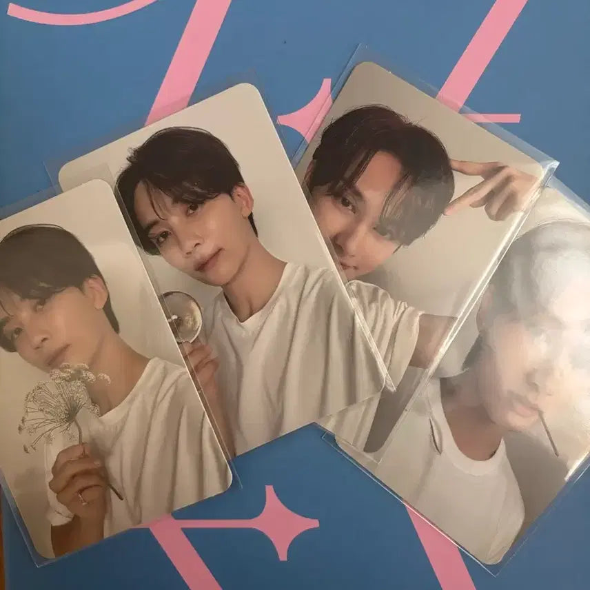 세븐틴 디어버전 캐럿반 도겸