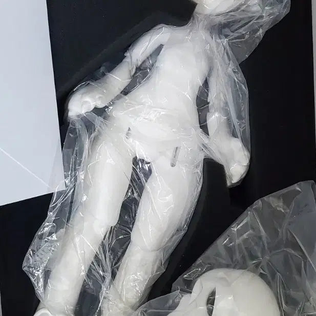 [BUNJANG] Weal Island USD/MSD Doll / 웨일아일랜드 정품 수인 usd~msd 작년분 판매합니다.