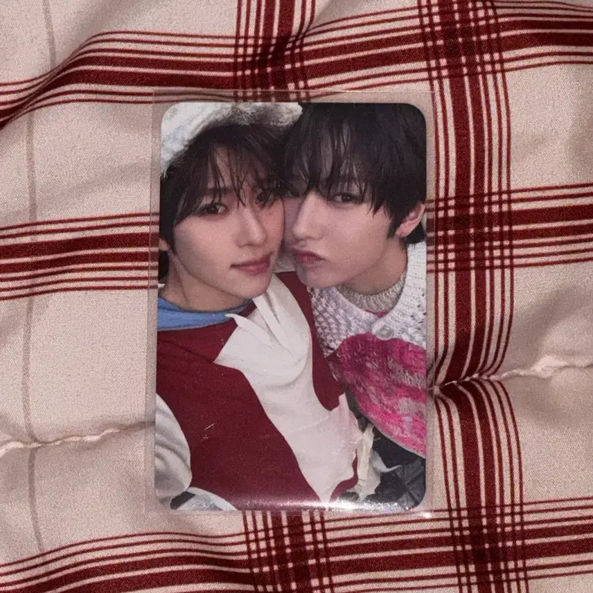 엔시티위시 위시풀윈터 시온 사쿠야 시오빵즈 포카