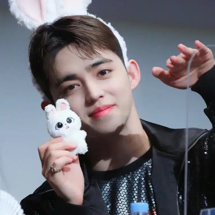 세븐틴 에스쿱스 10cm 인형 에스쿱끼 팝니다 양도 개봉만O