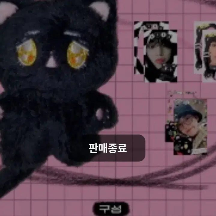 세븐틴 에스쿱스 10cm 인형 깜고철이 양도 팝니다