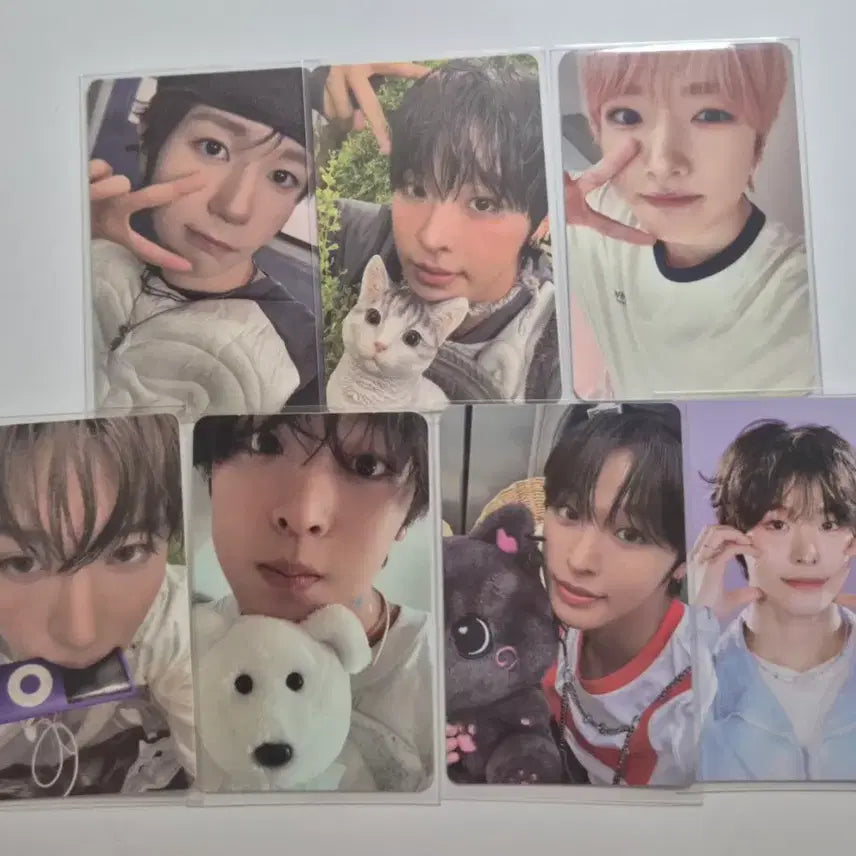 엔시티위시 포카 일괄 양도