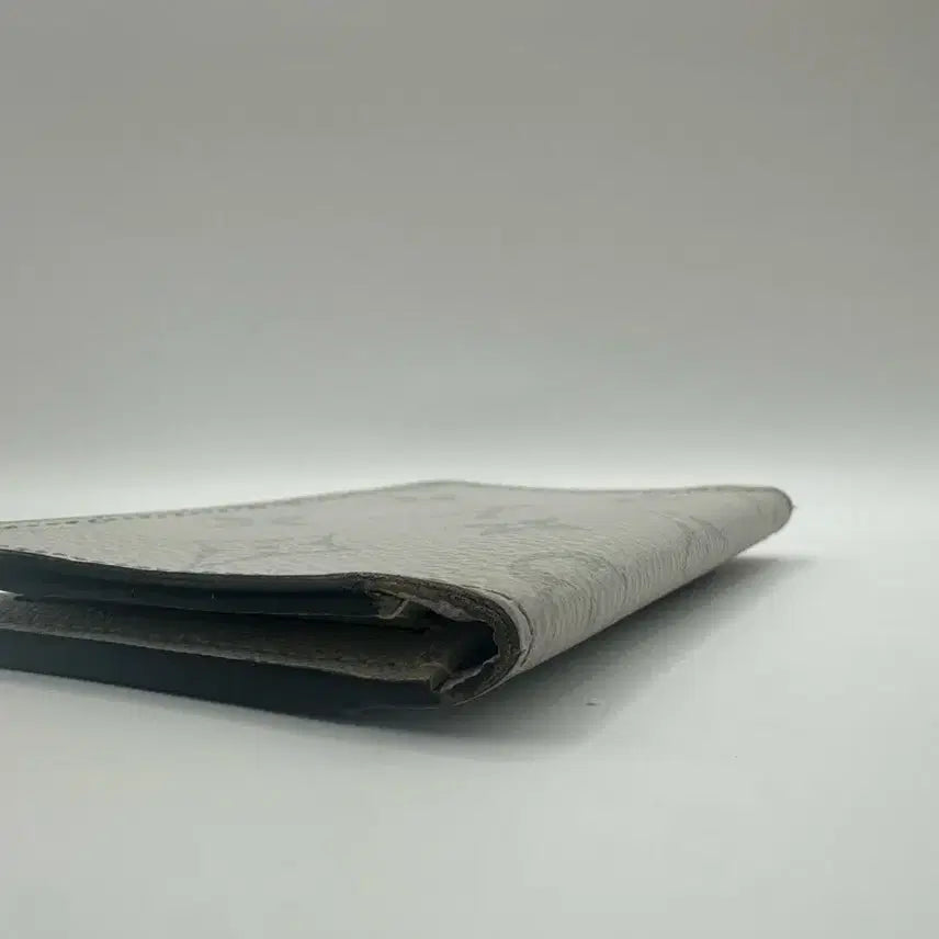 [BUNJANG] Louis Vuitton Taiga Leather Organizer Card Wallet / 루이비통 타이가라마 오거나이저 카드지갑 화이트