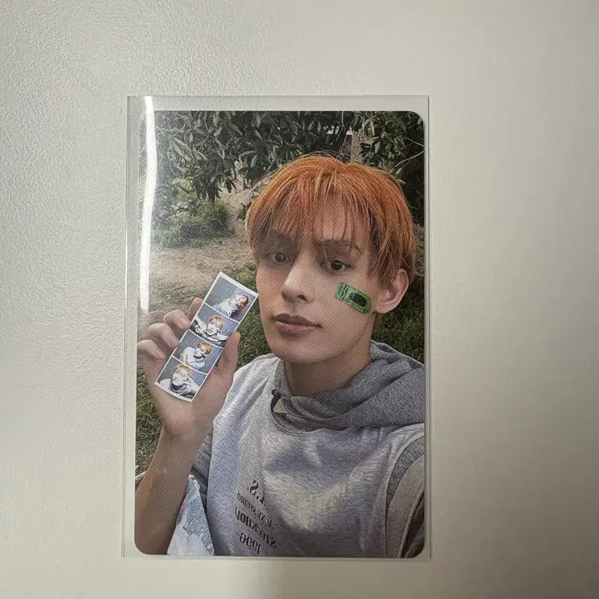 코르티스 제임스 위버스B버전 포토카드 양도