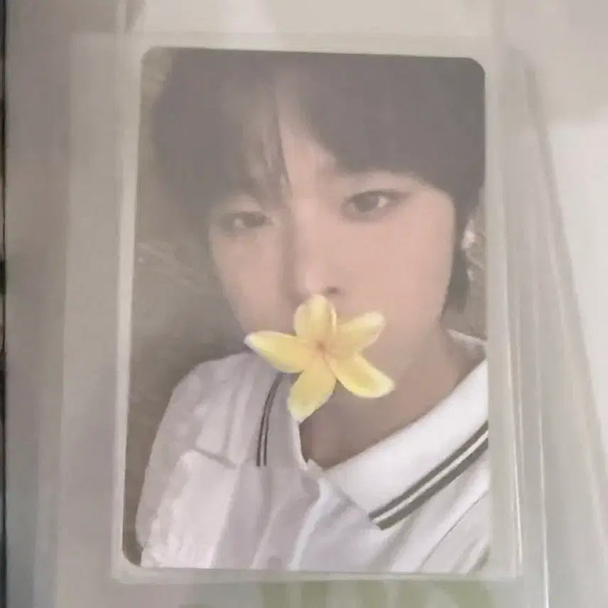 엔시티 위시 서프 리쿠 포카