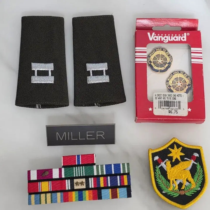 [BUNJANG] US Military Insignia Set / 미군 현용 인시그니아. 약장, 패치, 견장 등
