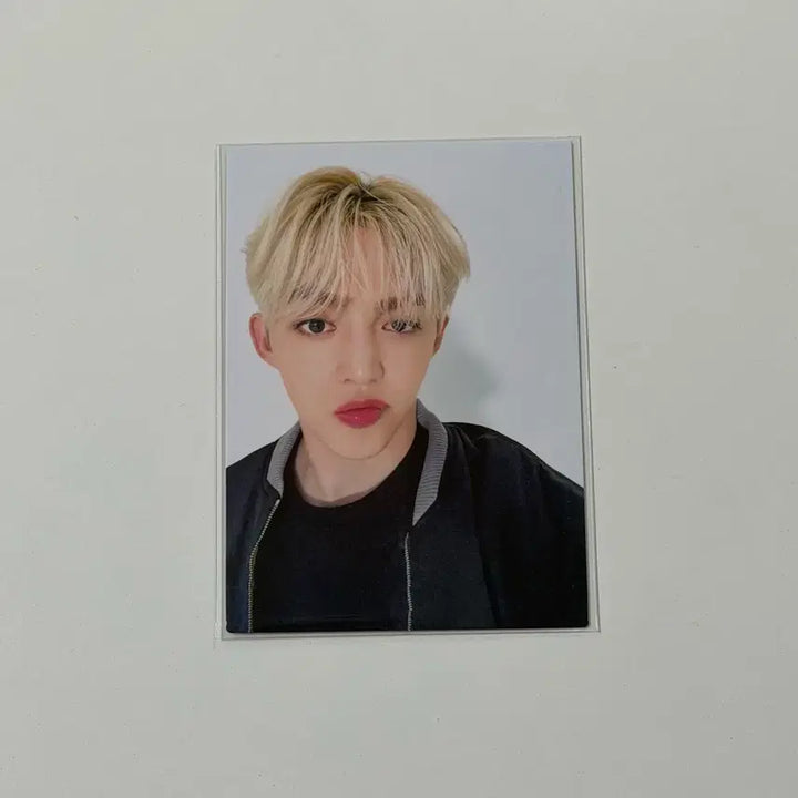 세븐틴 에스쿱스 팔로우 더 시티 재팬 스탬프 랠리 포카