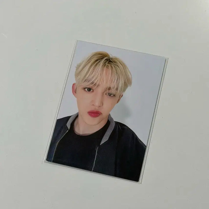 세븐틴 에스쿱스 팔로우 더 시티 재팬 스탬프 랠리 포카