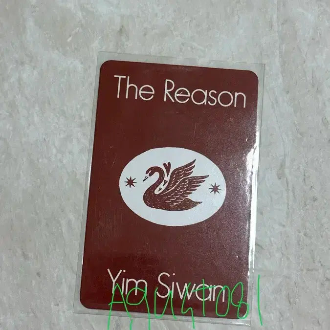 [SOLD OUT] 임시완 더리즌 The reason 포토부스 미공포 포카