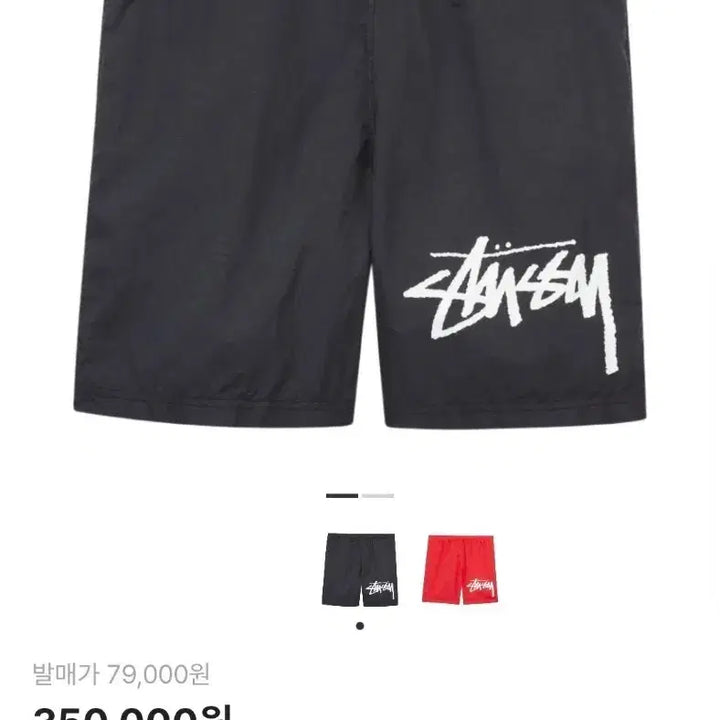 [BUNJANG] Stussy Nike Water Shorts Off Noir / (S)나이키 스투시 워터쇼츠 오프 느와르